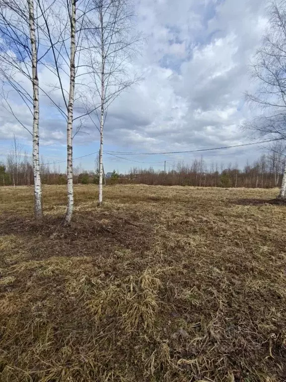 Участок в Новгородская область, Новгородский район, Бронницкое с/пос, ... - Фото 1