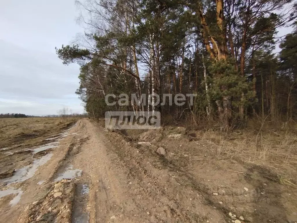 Участок в Московская область, Серпухов городской округ, д. ... - Фото 1