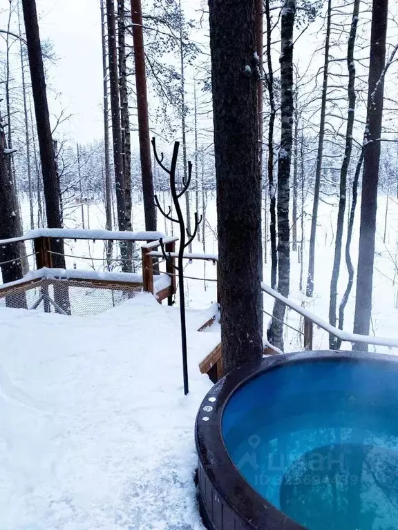 Дом в Ленинградская область, Выборгский район, Рощино пгт  (40 м) - Фото 2