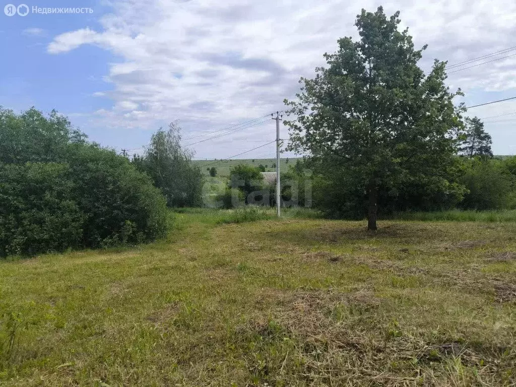 Участок в Шагаровка, СТ Ёлочка (6 м) - Фото 1