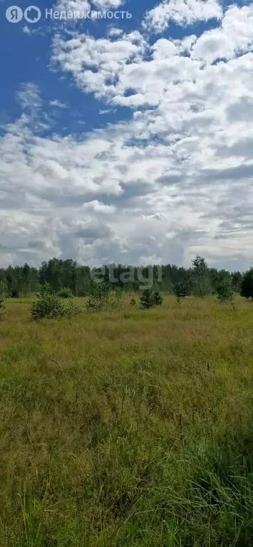 Участок в Искитимский район, Гусельниковский сельсовет, село Белово ... - Фото 0