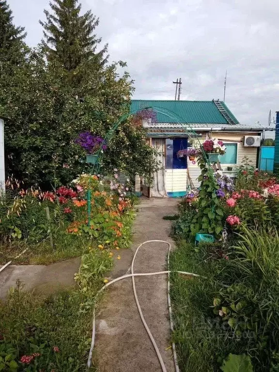 Дом в Новосибирская область, Колыванский район, с. Соколово Советская ... - Фото 1