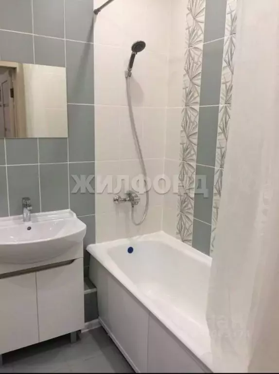 2-к кв. Новосибирская область, Новосибирск ул. Василия Клевцова, 1 ... - Фото 2