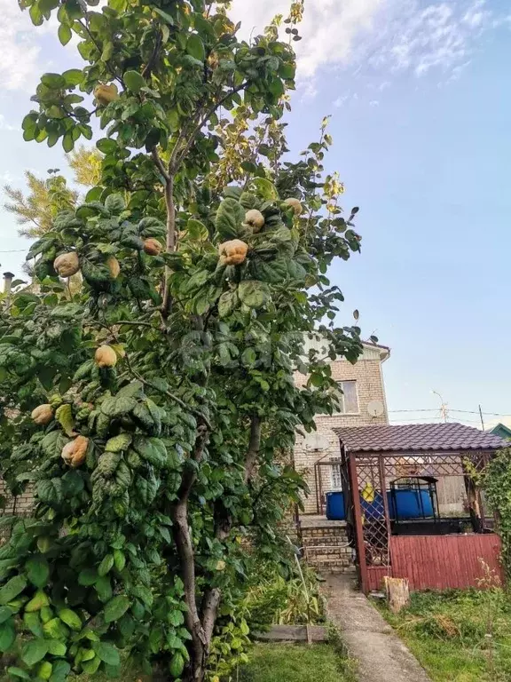 Дом в Ставропольский край, Ставрополь Октябрьская ул., 8А (276 м) - Фото 2