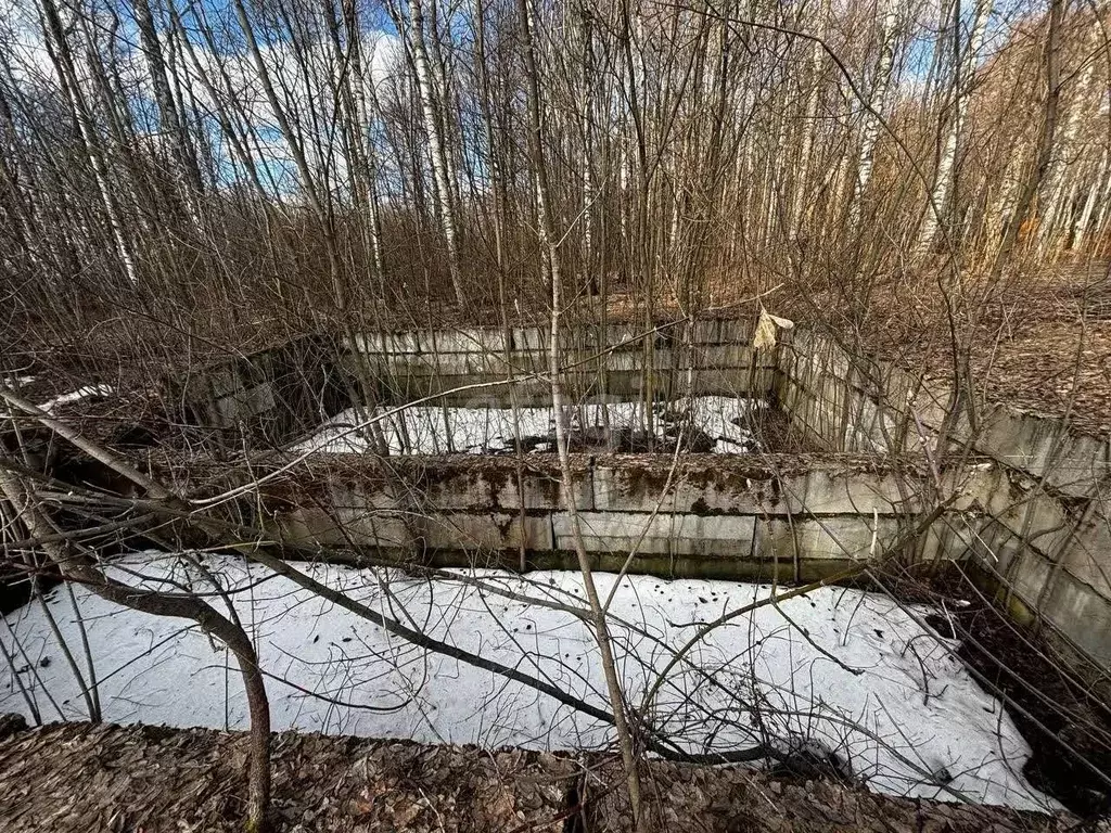 участок в нижегородская область, кстовский муниципальный округ, д. . - Фото 0