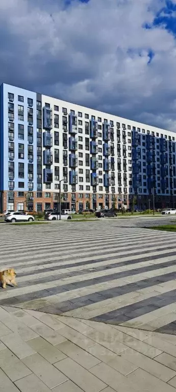 Помещение свободного назначения в Московская область, Домодедово ... - Фото 1