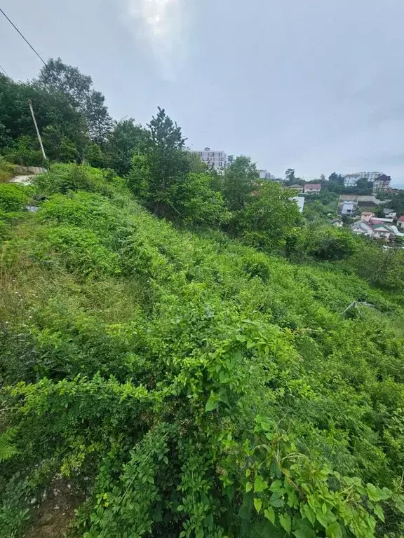 Участок в Краснодарский край, Сочи ул. Персиковая (10.0 сот.) - Фото 2