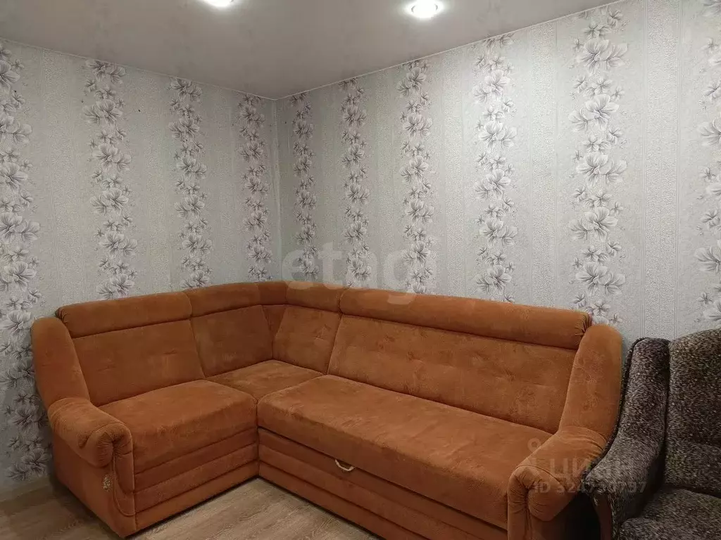 1-к кв. Псковская область, Остров Строитель мкр, 16 (29.8 м) - Фото 2