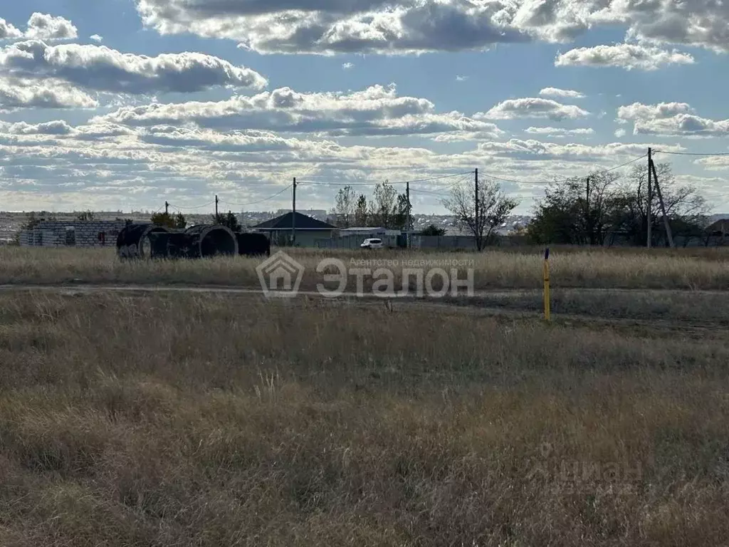 Участок в Волгоградская область, Городищенский район, Царицынское ... - Фото 2
