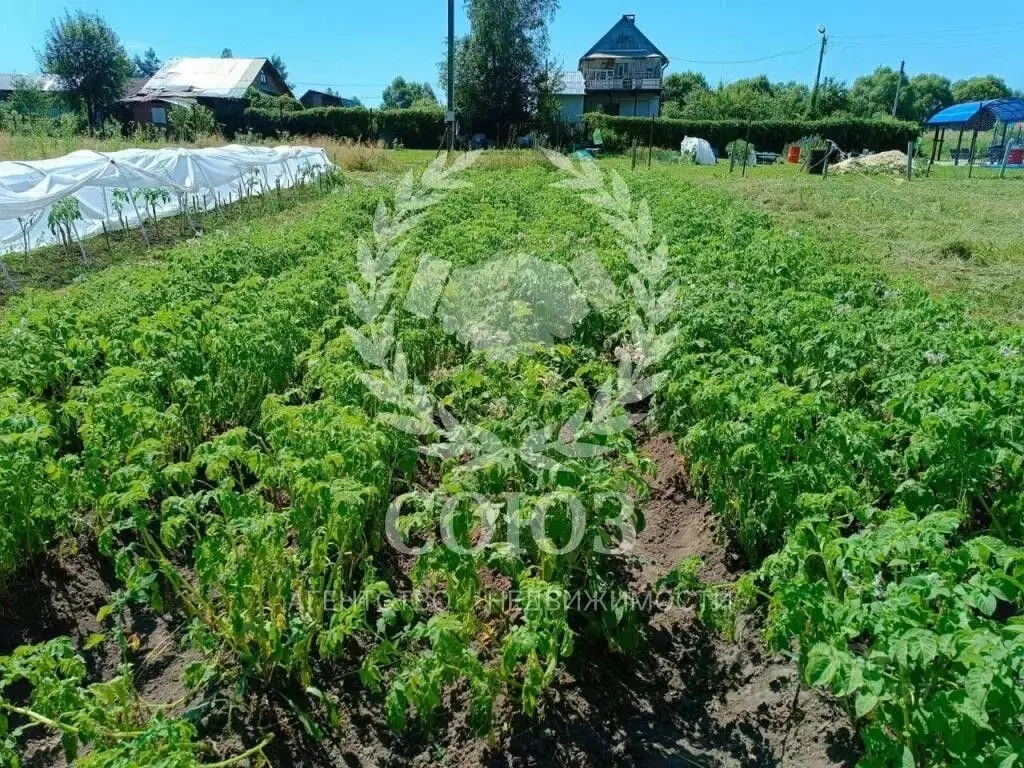 Участок в Калужская область, Перемышльский район, Ахлебинино с/пос, д. ... - Фото 2