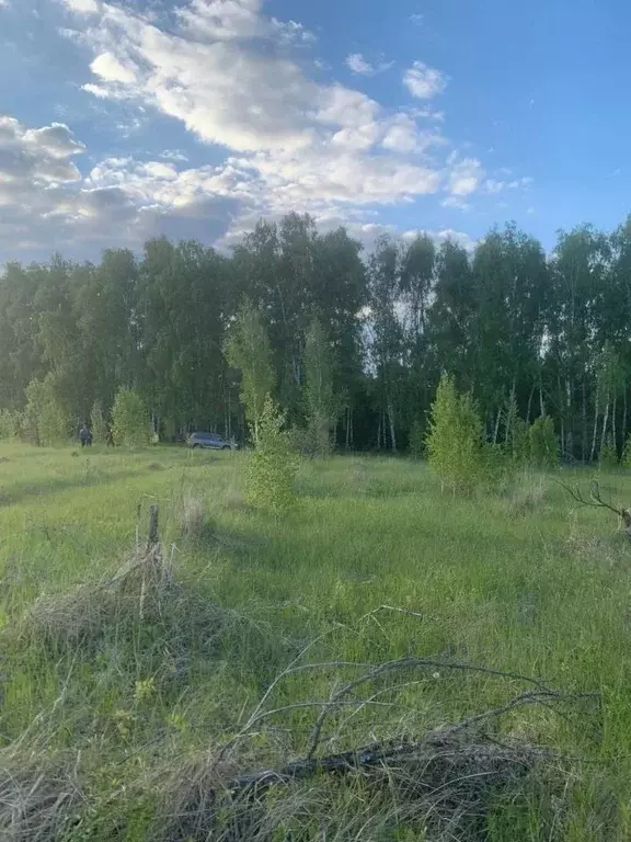 Участок в Курская область, Курский район, Моковский сельсовет, д. 1-я ... - Фото 2