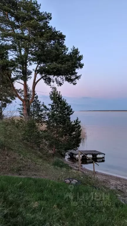 Участок в Ленинградская область, Приозерский район, Громовское с/пос, ... - Фото 1