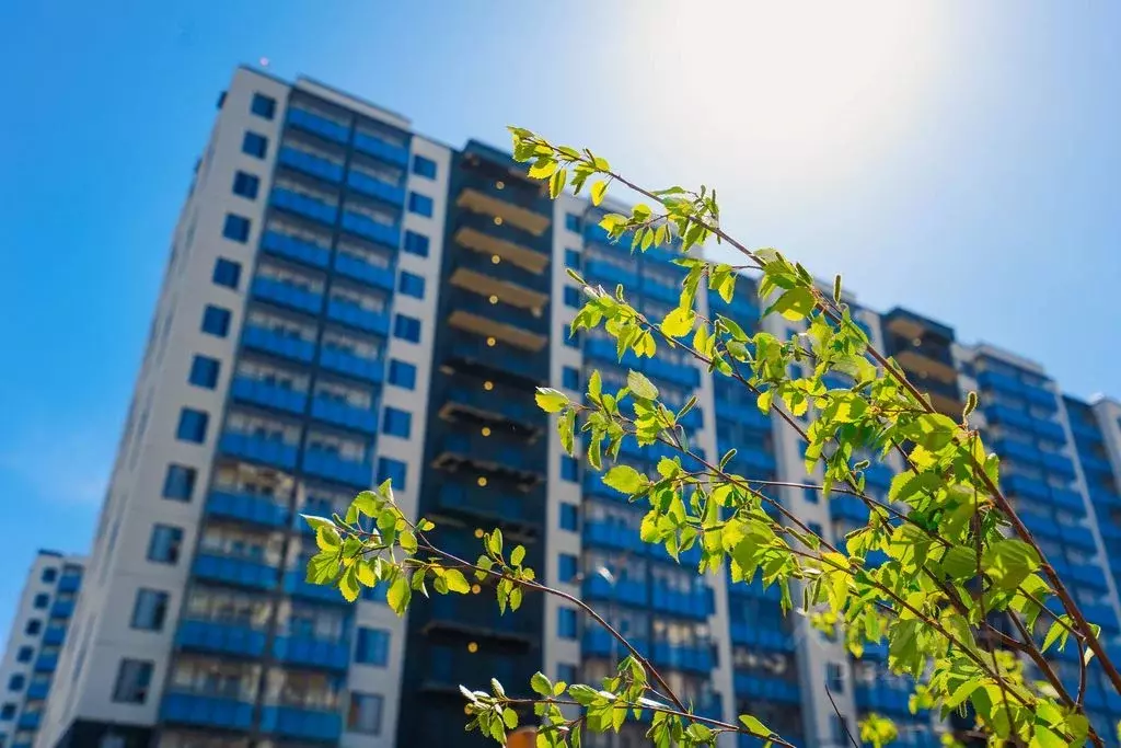 1-к кв. Ленинградская область, Мурино Всеволожский район, ул. ... - Фото 2