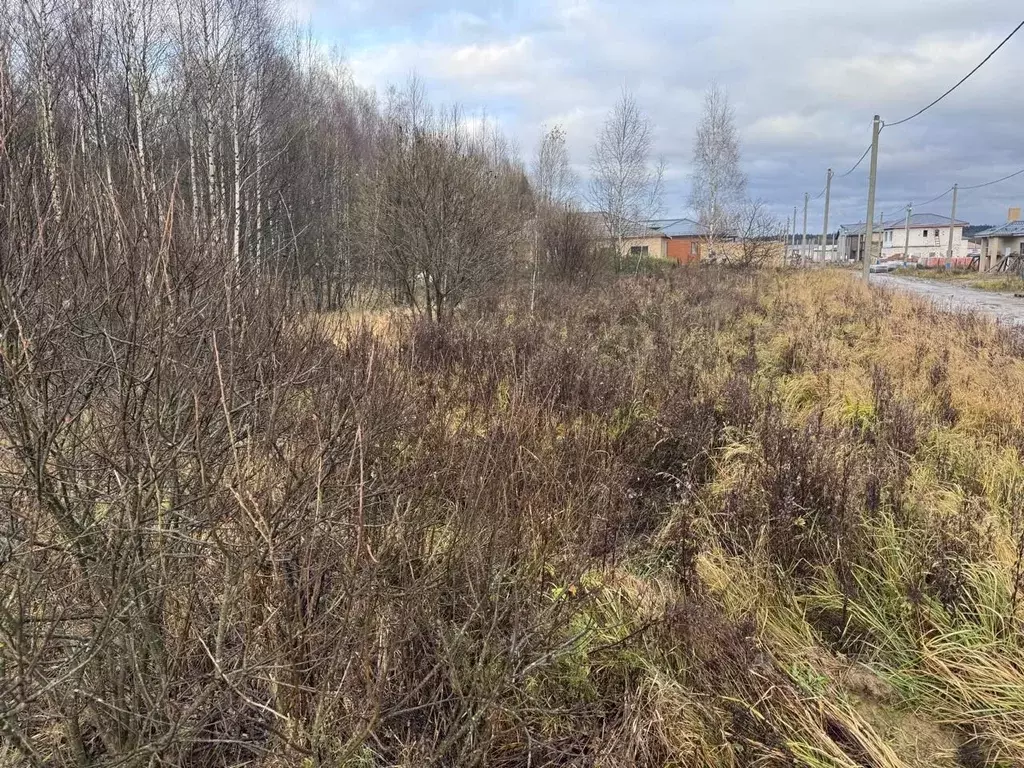 Участок в Москва Вороновское поселение, № 415 кв-л,  (10.0 сот.) - Фото 1