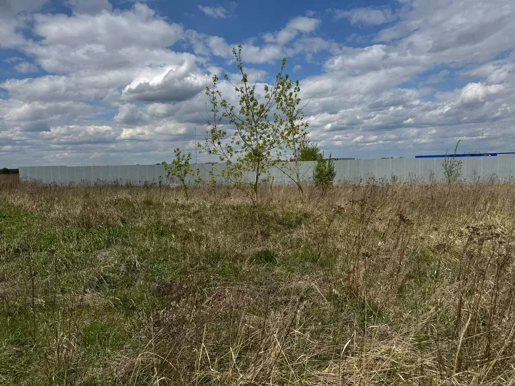 Участок в Московская область, Богородский городской округ, д. ... - Фото 0