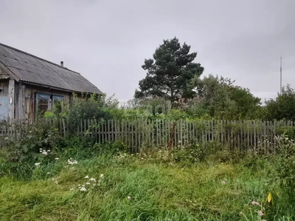 Дом в Тюменская область, с. Большое Сорокино ул. Зои Космодемьянской ... - Фото 1