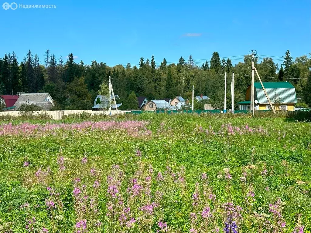 Участок в Московская область, городской округ Клин, посёлок Нарынка (6 ... - Фото 1