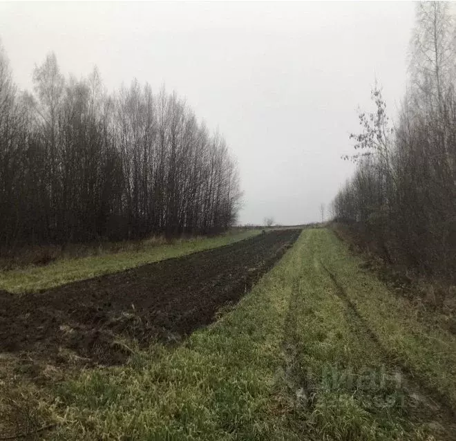 Участок в Московская область, Зарайск муниципальный округ, д. ... - Фото 1