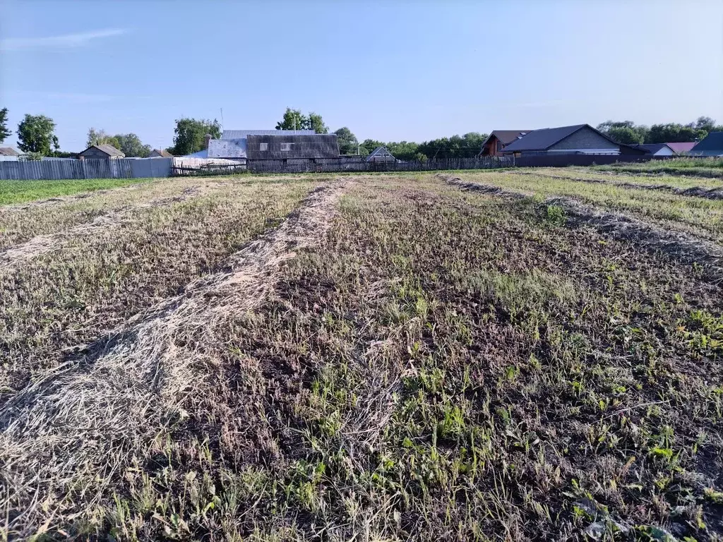 Участок в Самарская область, Кинельский район, Чубовка с/пос, с. ... - Фото 1