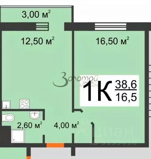 1-к кв. Нижегородская область, Нижний Новгород просп. ... - Фото 2