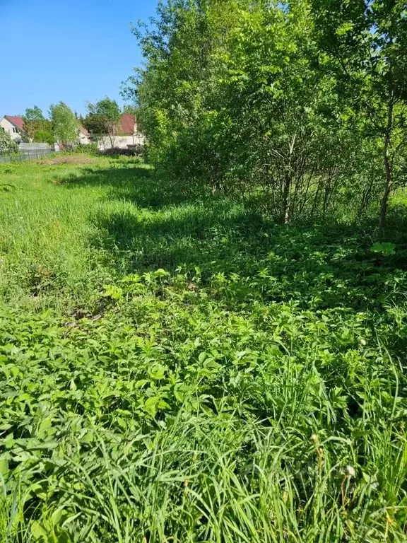 Участок в Московская область, Истра муниципальный округ, с. ... - Фото 2