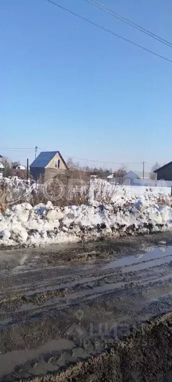 Участок в Тюменская область, Тюмень Ясень садовое товарищество,  (6.0 ... - Фото 2
