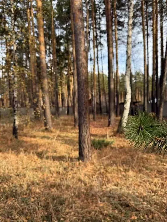 Участок в Иркутская область, Иркутский муниципальный округ, д. ... - Фото 1