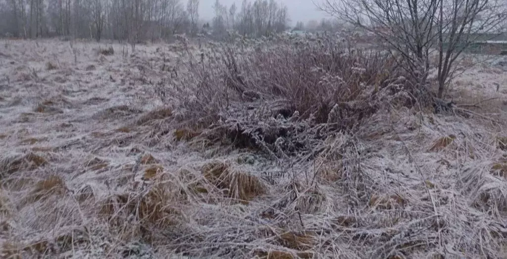 Участок в Московская область, Можайский муниципальный округ, д. ... - Фото 1