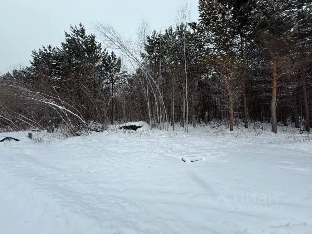 Участок в Иркутская область, Иркутский муниципальный округ, пос. Падь ... - Фото 2