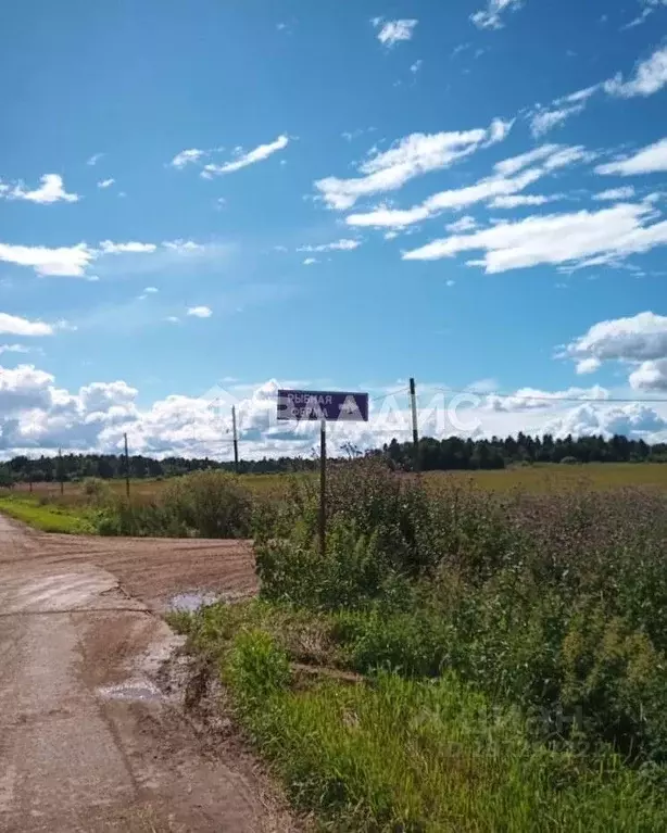 Участок в Вологодская область, пос. Грибково  (13.0 сот.) - Фото 1