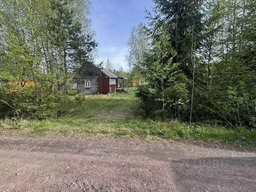 Участок в Ленинградская область, Выборгский район, Рощинское городское ... - Фото 1