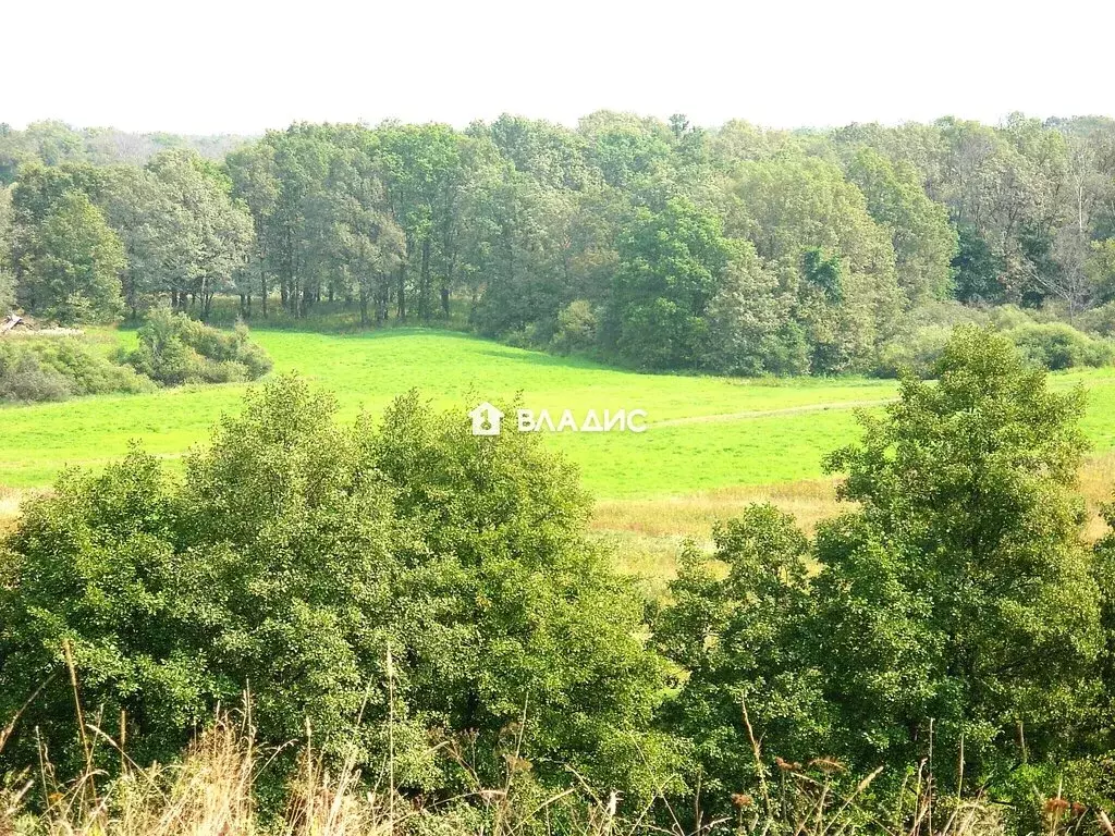 Участок в Ликино, Дачная улица (11.6 м) - Фото 1