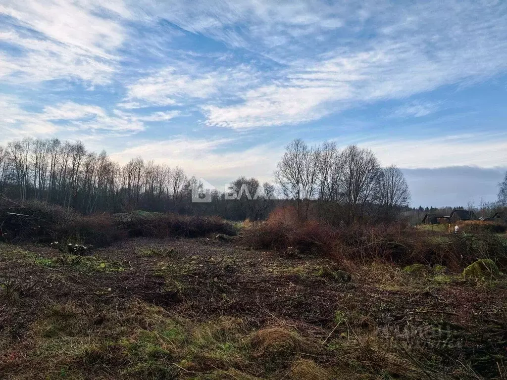 Участок в Ленинградская область, Выборгский район, Рощинское городское ... - Фото 1