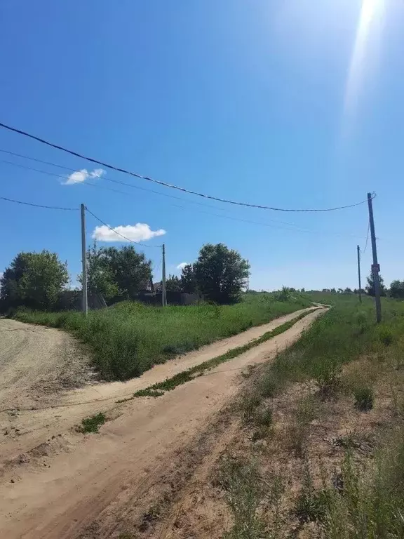 Участок в Воронежская область, Семилукское с/пос, с. Ендовище ул. ... - Фото 1