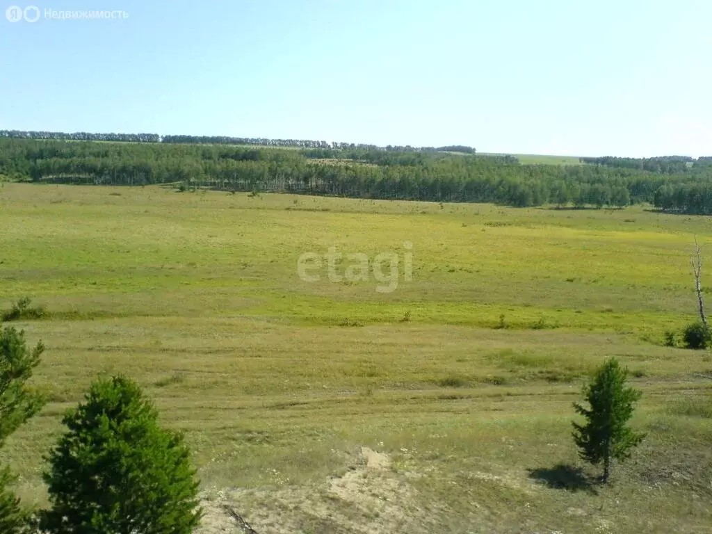 Участок в Красноярский край, посёлок городского типа Шушенское (1156.9 ... - Фото 1