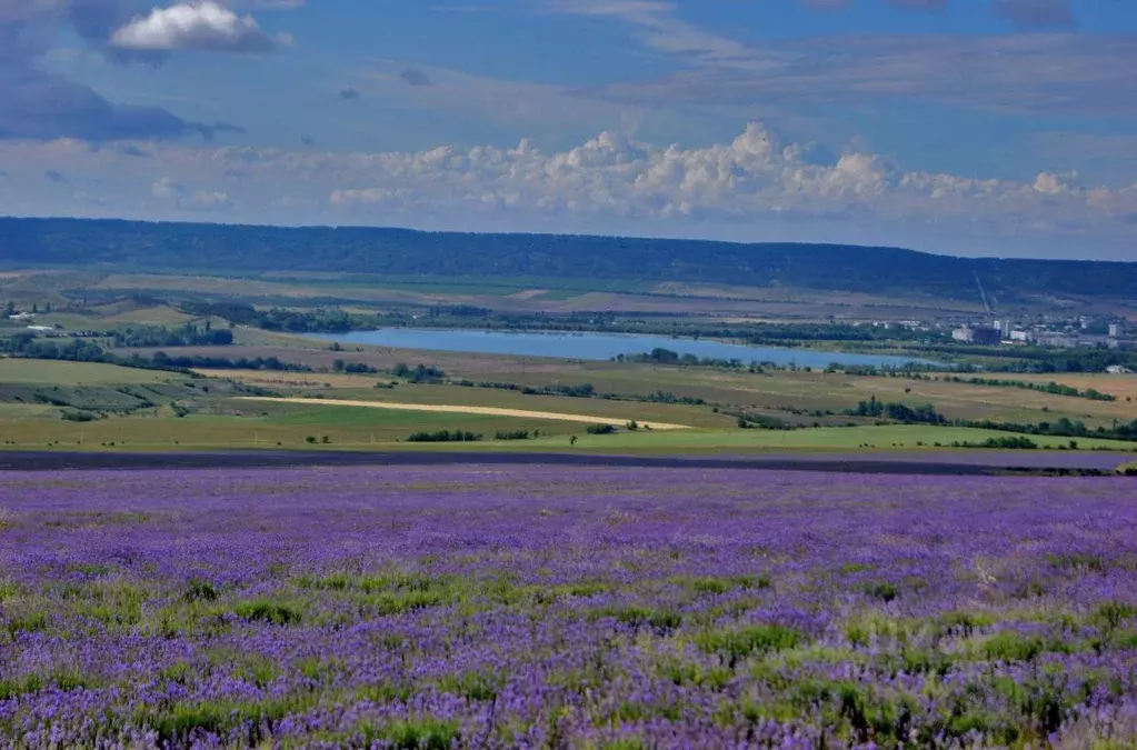 Участок в Крым, Бахчисарай  (170.0 сот.) - Фото 1