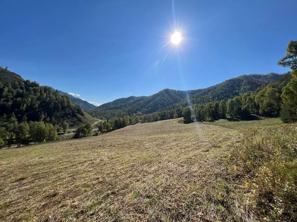 Участок в Алтай, Чемальский район, Чемальское с/пос  (35.07 сот.) - Фото 2