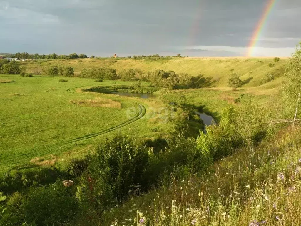 Участок в Владимирская область, Муромский район, Ковардицкое ... - Фото 1