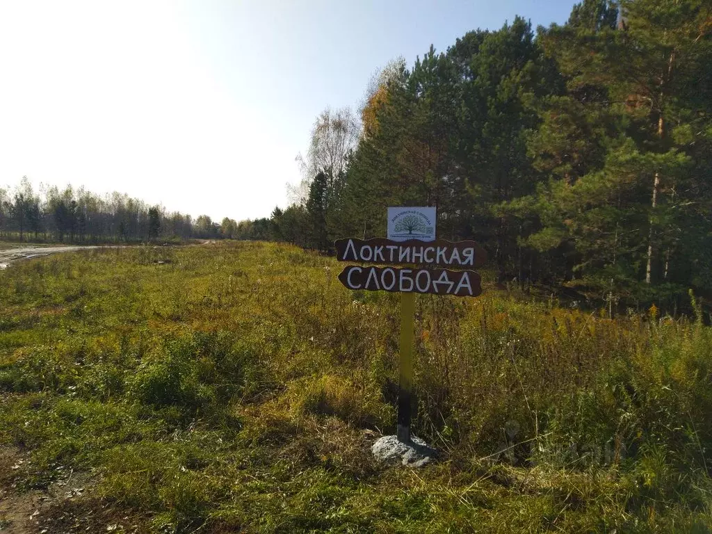 Участок в Новосибирская область, Мошковский район, Барлакский ... - Фото 1