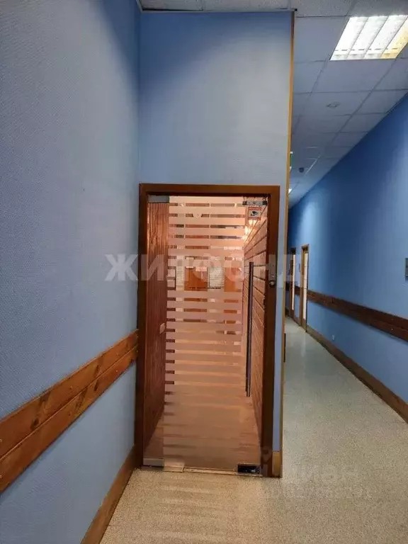 Офис в Новосибирская область, Новосибирск Красный просп., 220/5 (108 ... - Фото 1