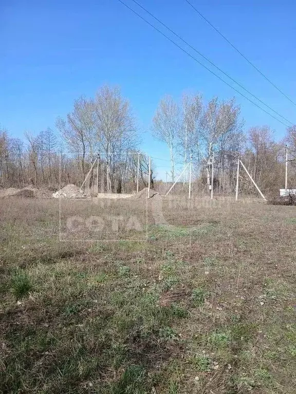Участок в Воронежская область, Новоусманский район, Хреновское с/пос, ... - Фото 1