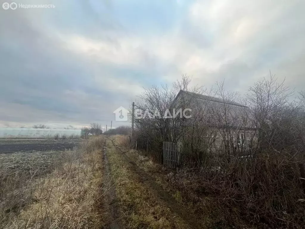 Дом в Семилукский район, Латненское сельское поселение, СНТ Дружба ... - Фото 1