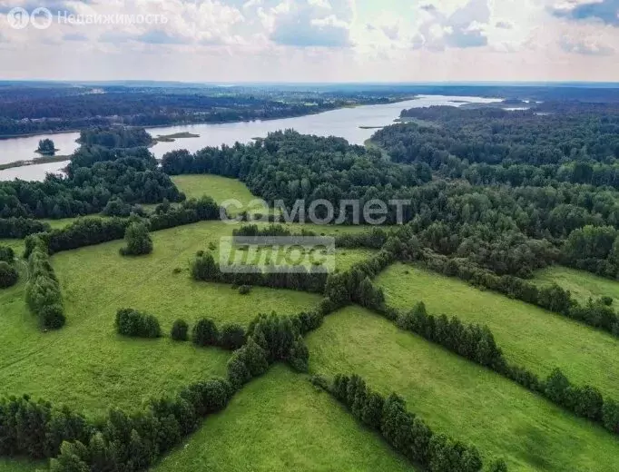 Участок в посёлок Ромашки, садоводческое некоммерческое товарищество ... - Фото 1