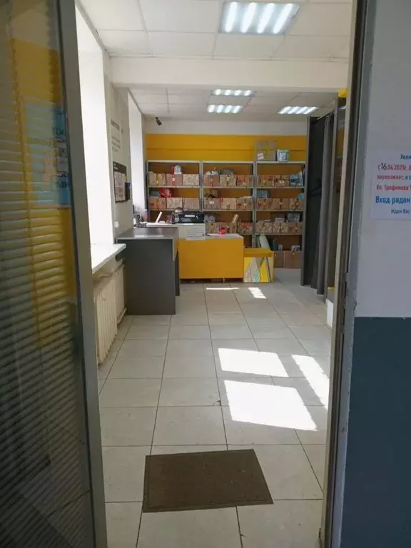 Помещение свободного назначения в Москва ул. Трофимова, 9 (36 м) - Фото 1