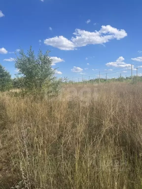 Участок в Оренбургская область, пос. Переволоцкий  (12.0 сот.) - Фото 1