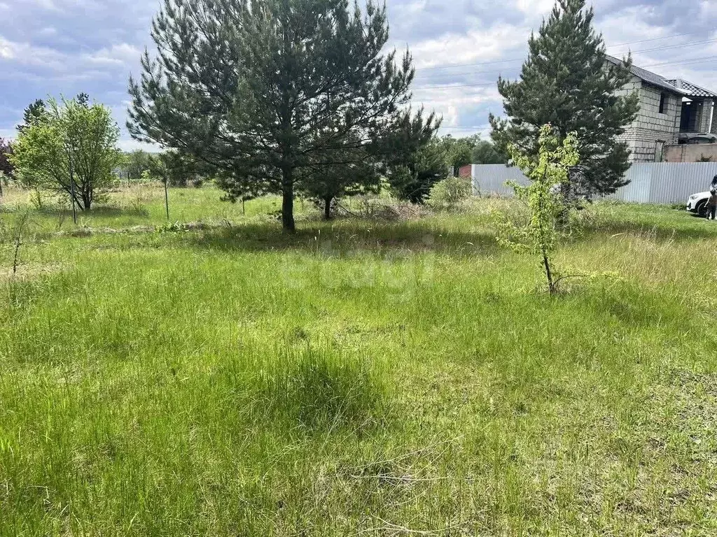 Участок в Воронежская область, Рамонский район, Новоживотинновское ... - Фото 1