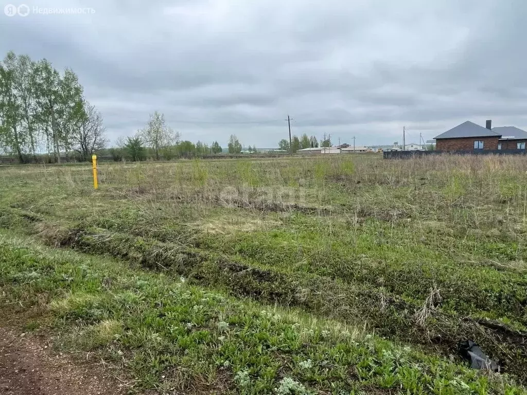 Участок в деревня Старомусино, Дружная улица (15 м) - Фото 1