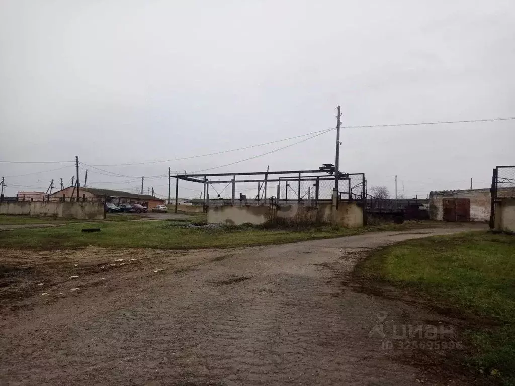 Склад в Липецкая область, Елецкий муниципальный округ, с. Казаки ул. ... - Фото 2