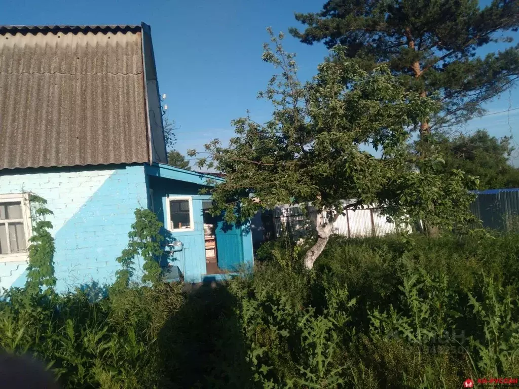 Совхоз татарстан