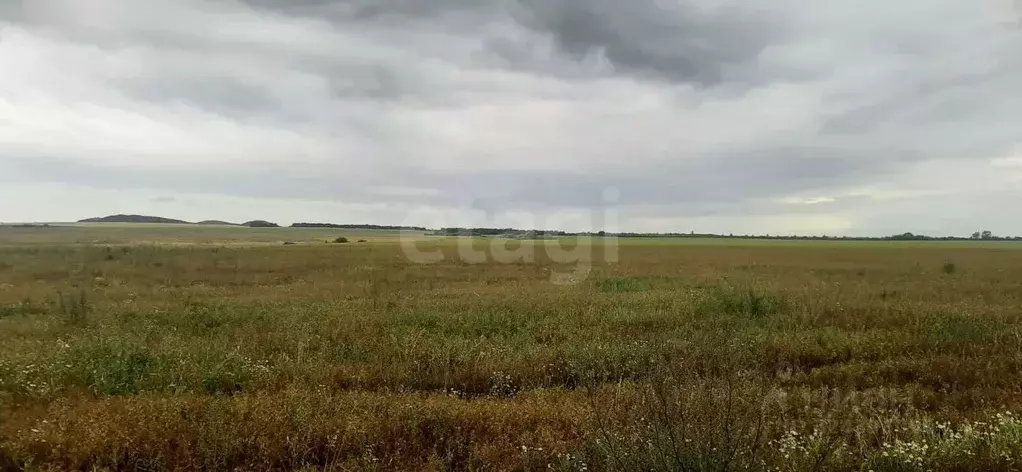 Участок в Татарстан, Тукаевский район, Азьмушкинское с/пос, с. Старые ... - Фото 2